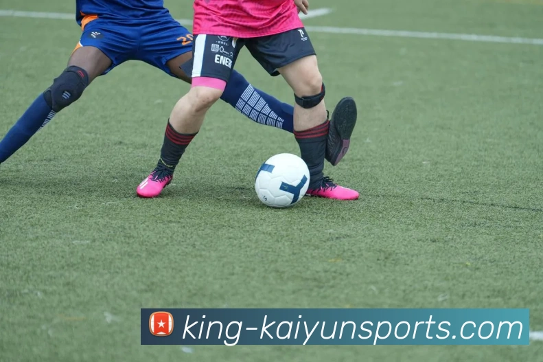 开云登录平台生态图