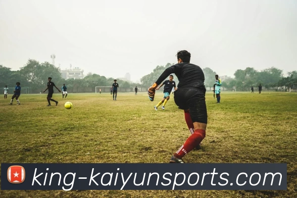 开云登录全站App